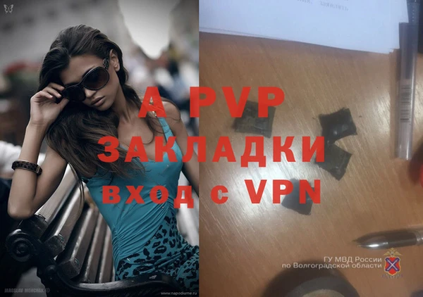 ECSTASY Лабытнанги
